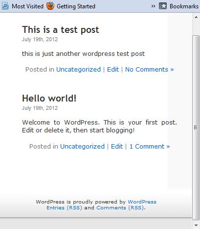 Web Browser WordPress Responsive Design
